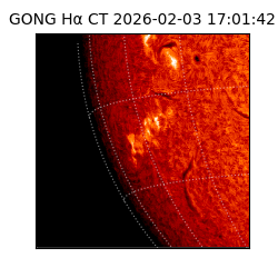 gong - 2026-02-03T17:01:42
