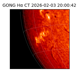 gong - 2026-02-03T20:00:42