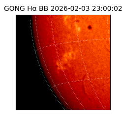 gong - 2026-02-03T23:00:02