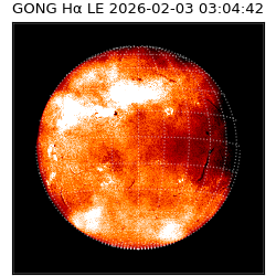 gong - 2026-02-03T03:04:42