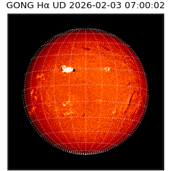 gong - 2026-02-03T07:00:02