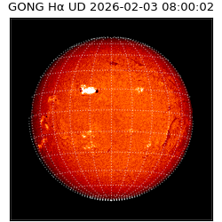 gong - 2026-02-03T08:00:02