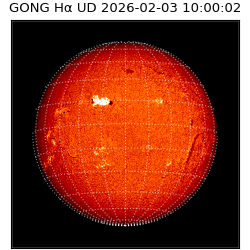 gong - 2026-02-03T10:00:02