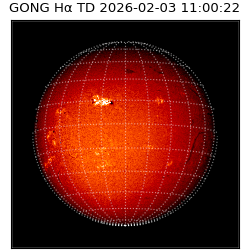 gong - 2026-02-03T11:00:22