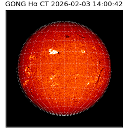 gong - 2026-02-03T14:00:42