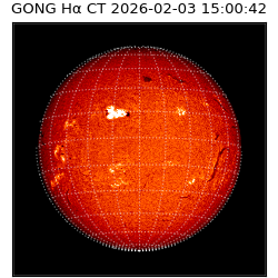 gong - 2026-02-03T15:00:42