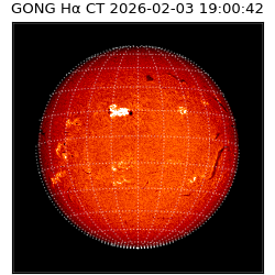 gong - 2026-02-03T19:00:42