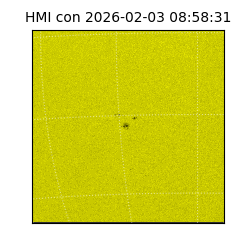 shmi - 2026-02-03T08:58:31