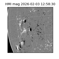 shmi - 2026-02-03T12:58:30.800000