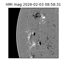 shmi - 2026-02-03T08:58:31