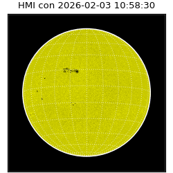 shmi - 2026-02-03T10:58:30.900000