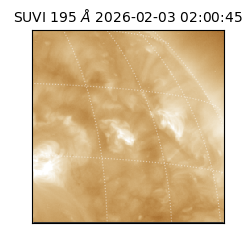 suvi - 2026-02-03T02:00:45.233000