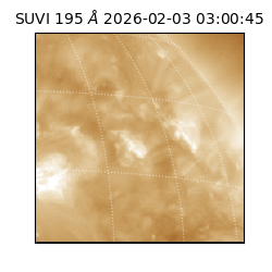 suvi - 2026-02-03T03:00:45.413000