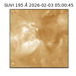 suvi - 2026-02-03T05:00:45.775000