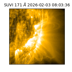 suvi - 2026-02-03T08:03:36.333000