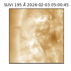 suvi - 2026-02-03T05:00:45.775000