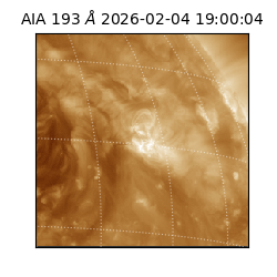 saia - 2026-02-04T19:00:04.843000