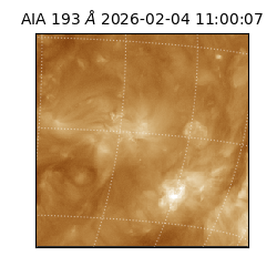 saia - 2026-02-04T11:00:07.046000