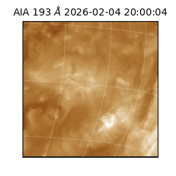 saia - 2026-02-04T20:00:04.843000