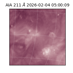 saia - 2026-02-04T05:00:09.619000