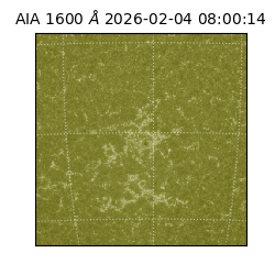 saia - 2026-02-04T08:00:14.129000