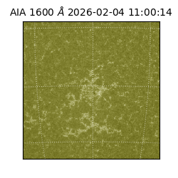 saia - 2026-02-04T11:00:14.133000