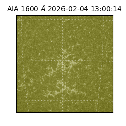 saia - 2026-02-04T13:00:14.118000