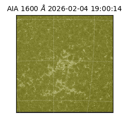 saia - 2026-02-04T19:00:14.132000