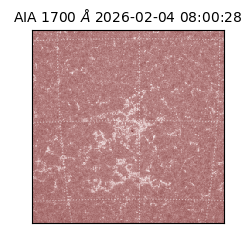 saia - 2026-02-04T08:00:28.718000