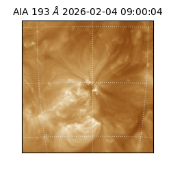 saia - 2026-02-04T09:00:04.843000
