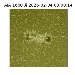 saia - 2026-02-04T03:00:14.134000