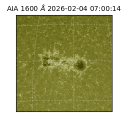 saia - 2026-02-04T07:00:14.119000