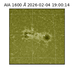 saia - 2026-02-04T19:00:14.132000