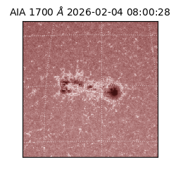 saia - 2026-02-04T08:00:28.718000