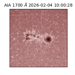 saia - 2026-02-04T10:00:28.717000