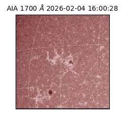 saia - 2026-02-04T16:00:28.718000