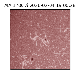 saia - 2026-02-04T19:00:28.718000