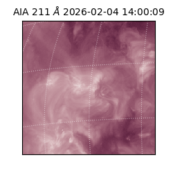 saia - 2026-02-04T14:00:09.626000