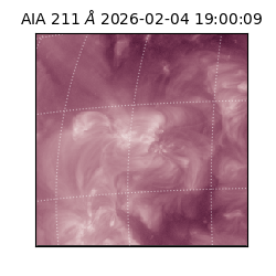 saia - 2026-02-04T19:00:09.626000