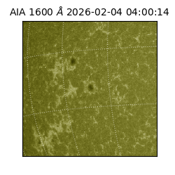 saia - 2026-02-04T04:00:14.126000