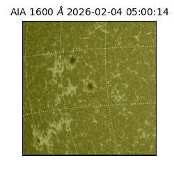 saia - 2026-02-04T05:00:14.118000