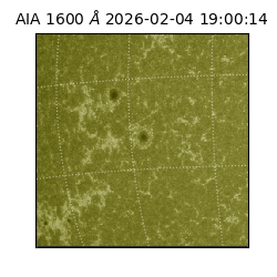 saia - 2026-02-04T19:00:14.132000