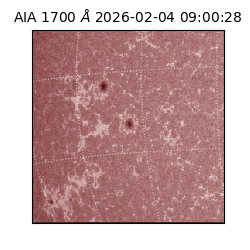 saia - 2026-02-04T09:00:28.740000