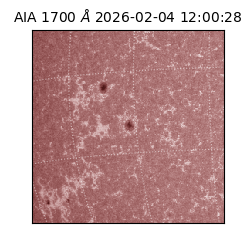 saia - 2026-02-04T12:00:28.710000