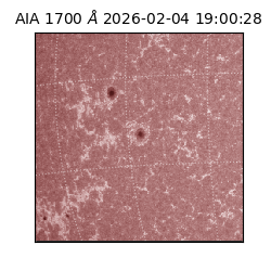 saia - 2026-02-04T19:00:28.718000