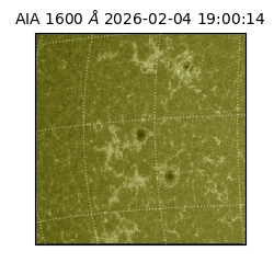 saia - 2026-02-04T19:00:14.132000