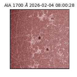 saia - 2026-02-04T08:00:28.718000