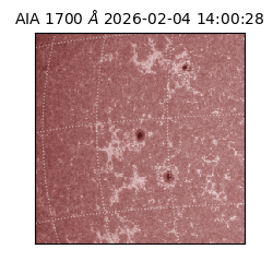 saia - 2026-02-04T14:00:28.710000