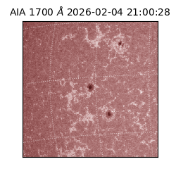 saia - 2026-02-04T21:00:28.742000