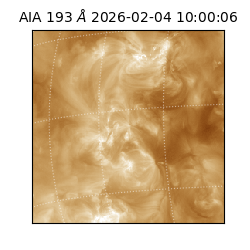 saia - 2026-02-04T10:00:06.228000